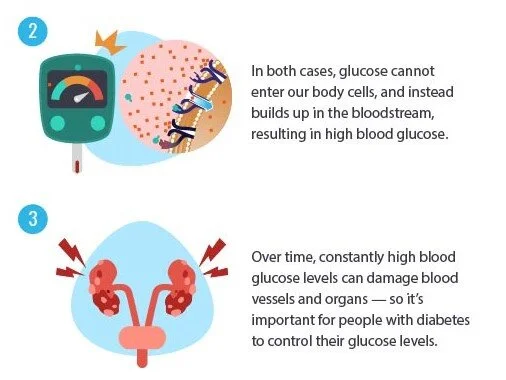 471-Part-2-Insulin-and-Diabetes3.jpg