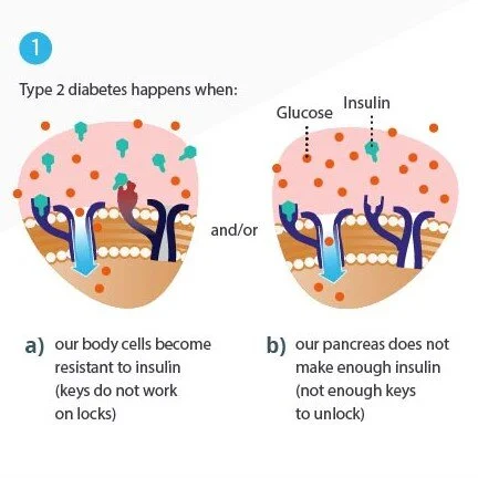 471-Part-2-Insulin-and-Diabetes1.jpg
