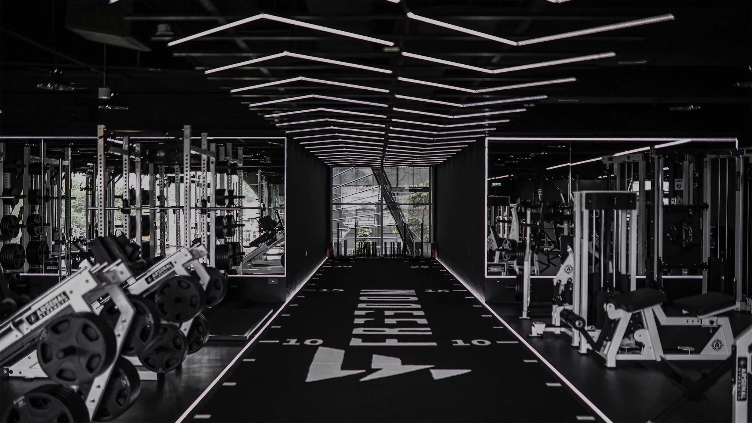 freedom gym