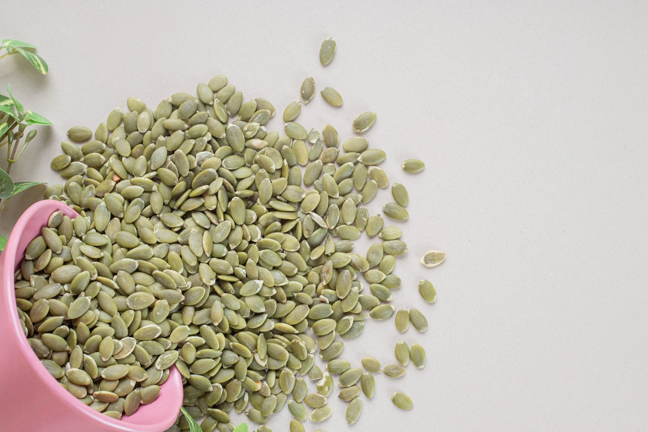 Pumpkin seeds