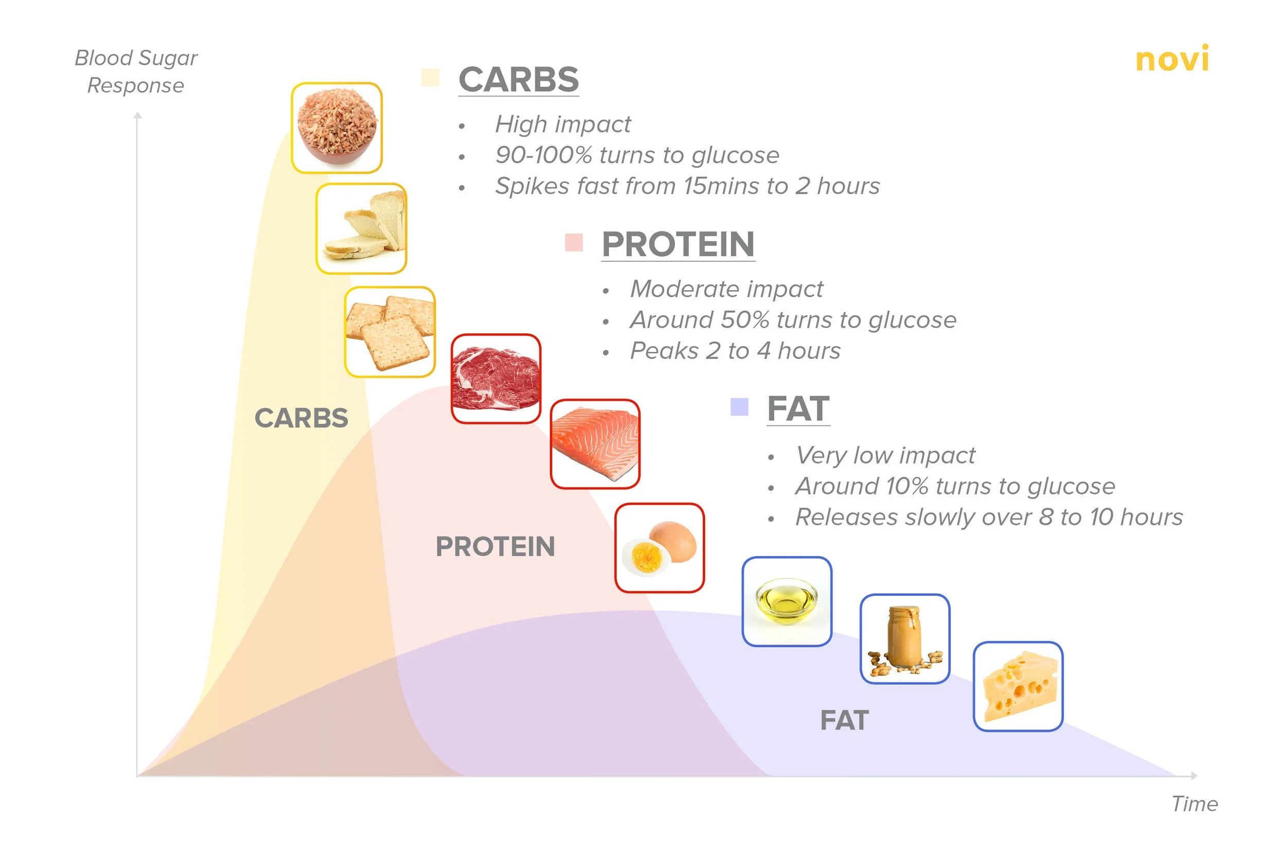 Sugar Response Graph