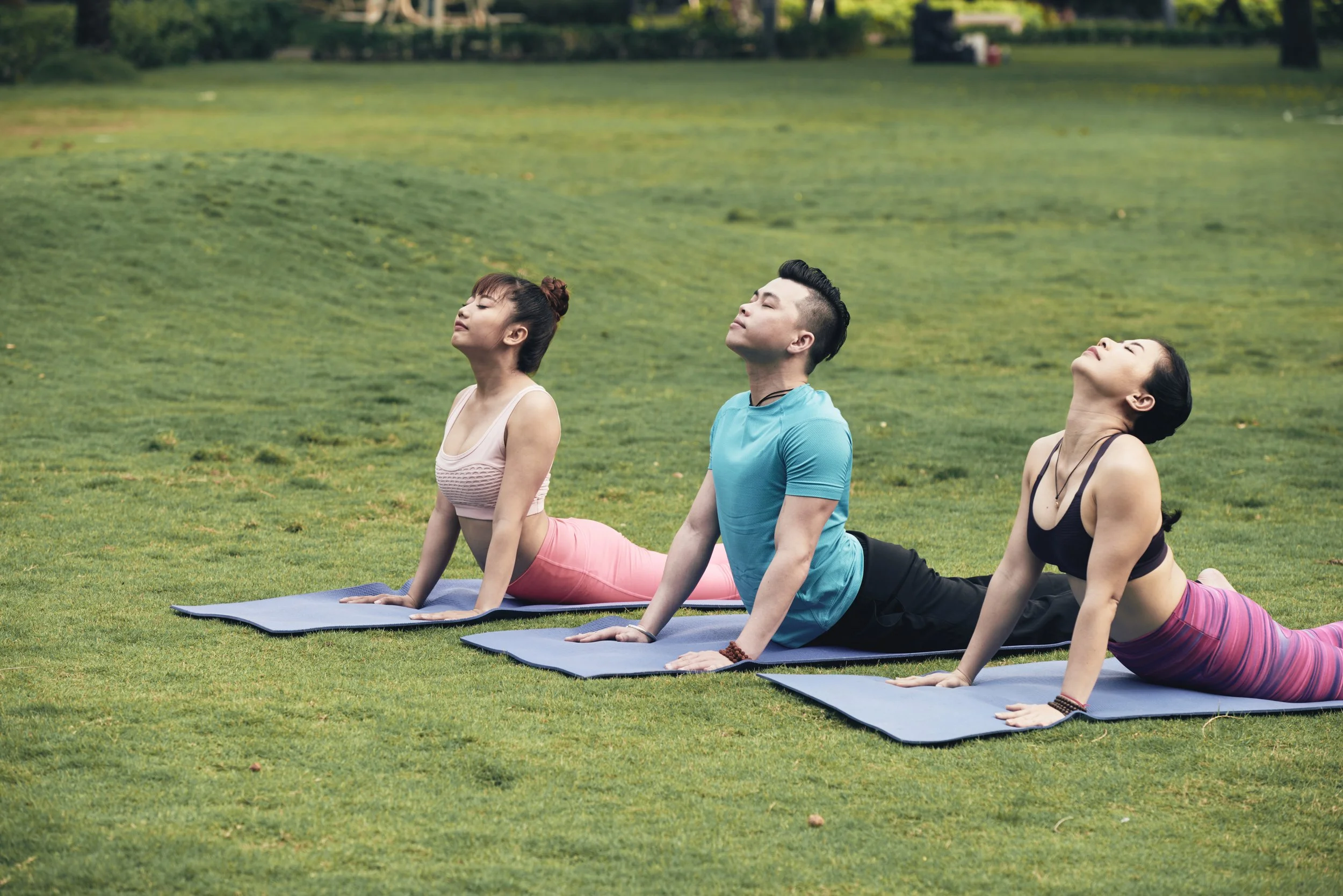 Flexibility training