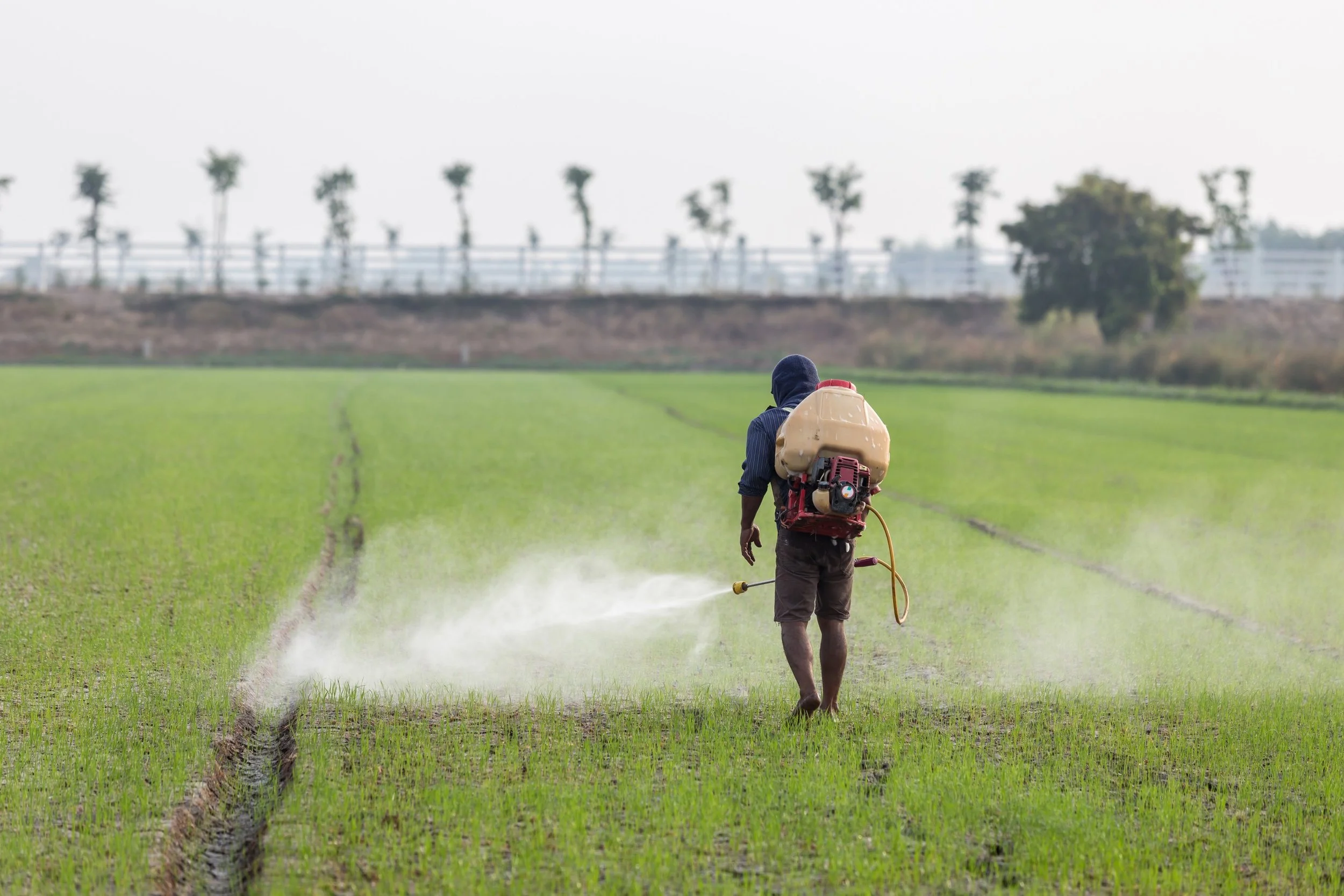 Increasing use of fertilizers